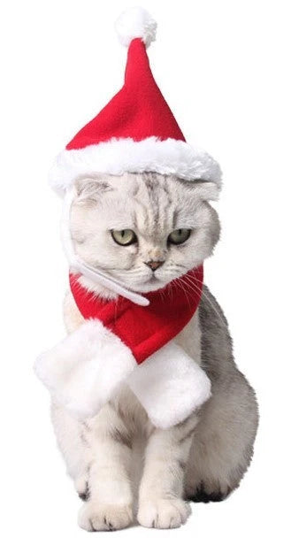 Adjustable Christmas pet hairband with elk antlers for dogs and cats, available in red