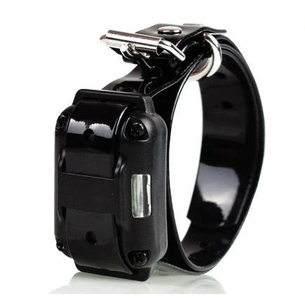 Advanced waterproof dog training collar with remote control and adjustable stimulation levels