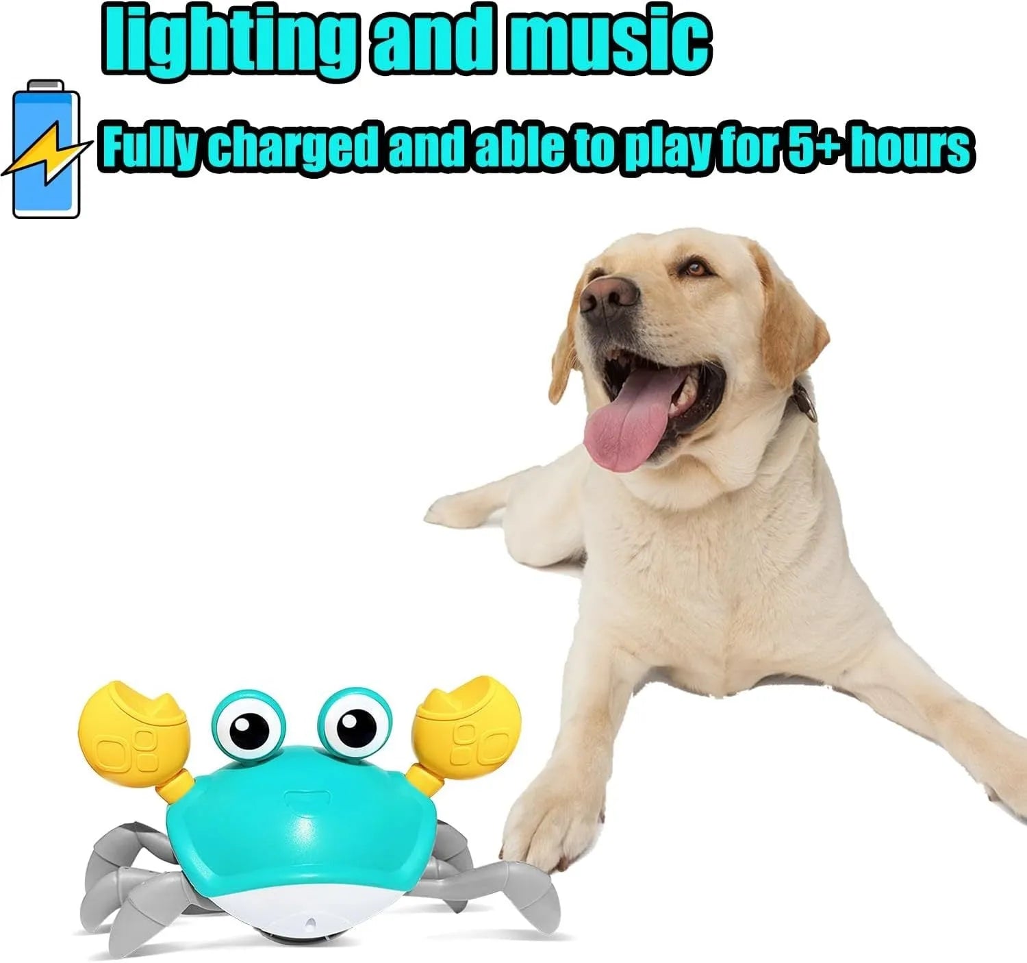 Blue or red electronic crab toy for dogs and cats with lights, shown on a surface.