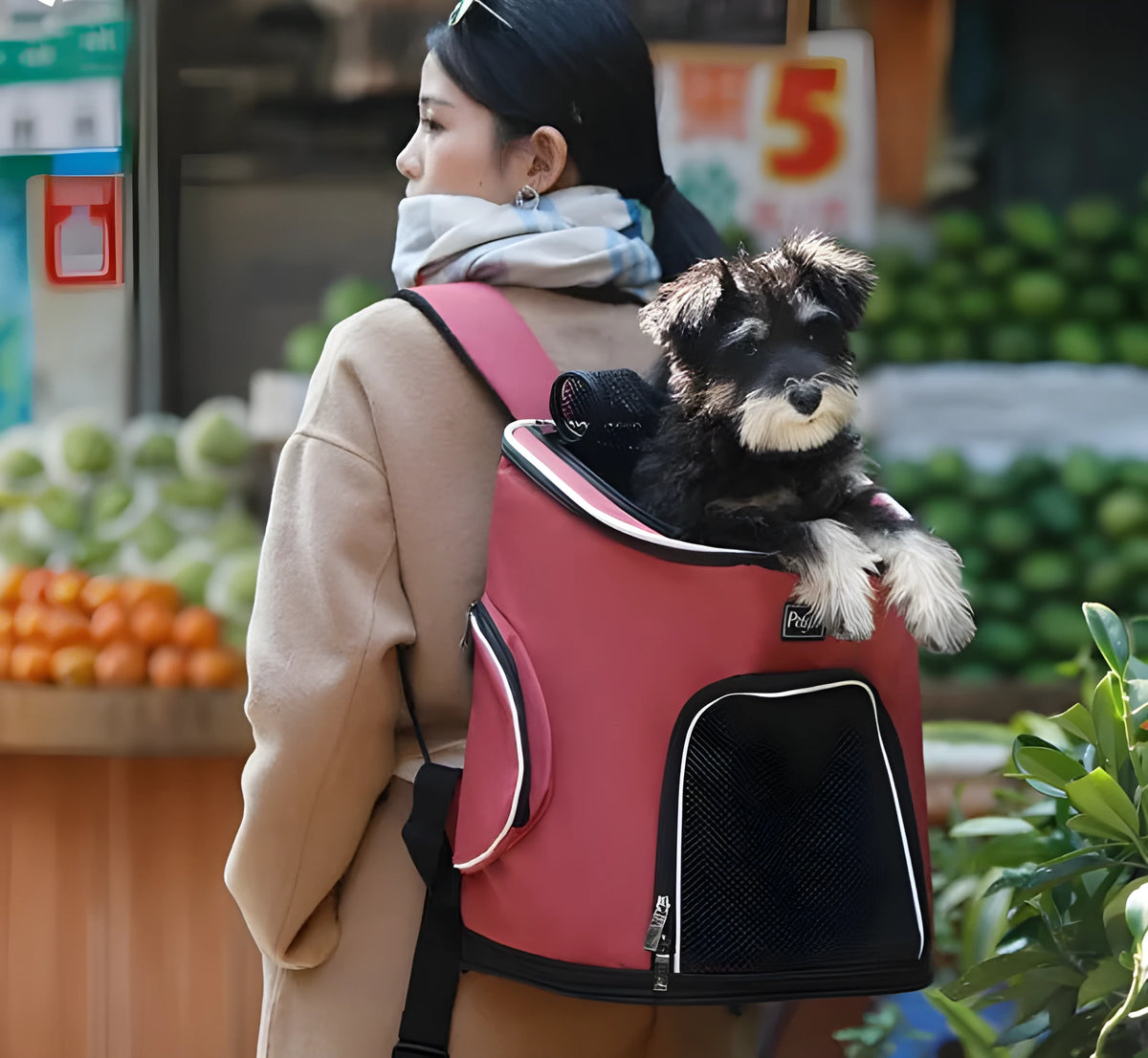 Blue Oxford cloth pet dog backpack carrier with hexagonal mesh for small dogs and cats