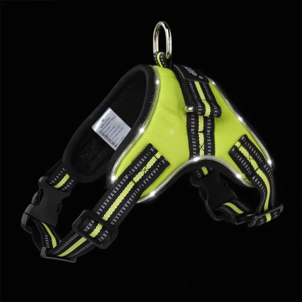 Glowing dog collar with LED lights and reflective strips in 1000D Oxford material
