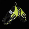 Glowing dog collar with LED lights and reflective strips in 1000D Oxford material