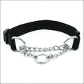 Large adjustable dog collar in blue with zinc alloy buckle, 2.5cm wide, polypropylene webbing