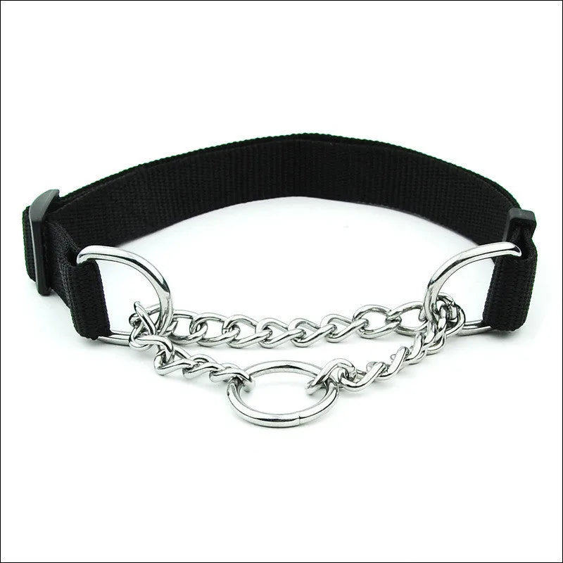 Large adjustable dog collar in blue with zinc alloy buckle, 2.5cm wide, polypropylene webbing
