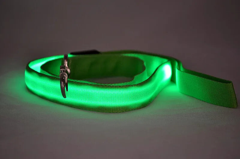 Glowing LED dog leash on nylon webbing 120cm with blue light visible in the dark