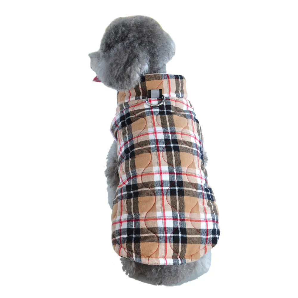 Winter pet dog jacket heavy cotton plaid with reflective webbing, green colour, on a small dog