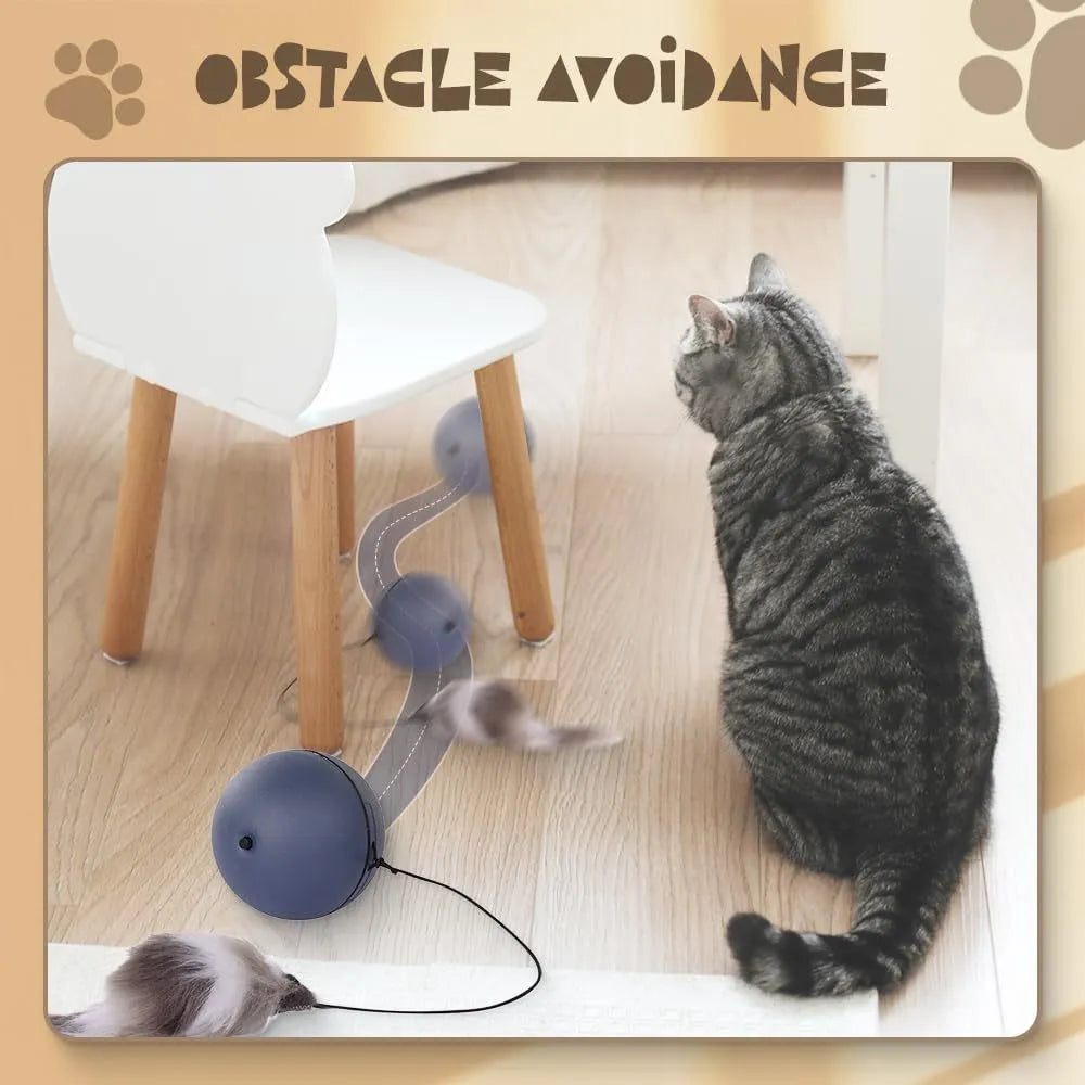 Blue orange automatic moving cat ball toy with smart rolling motion for pet enrichment