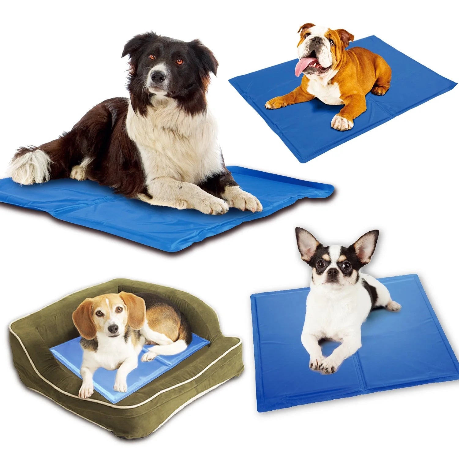 Blue dog cooling mat with pressure-activated technology for summer comfort