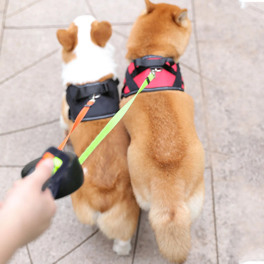 Automatic telescopic traction rope dog leash nylon rope chrome-plated fasteners black colour