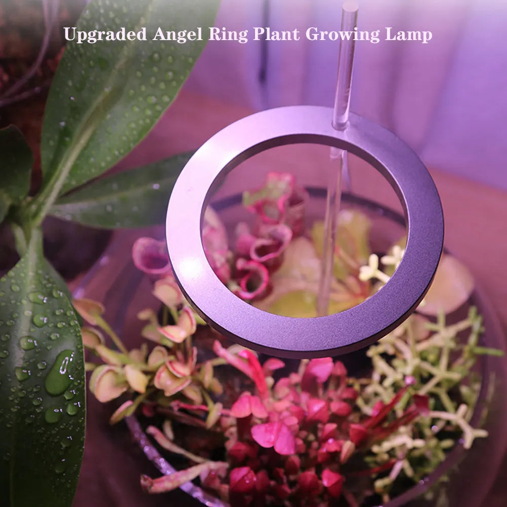 LED grow light with Angel Ring design showing full-spectrum LEDs in zinc alloy housing