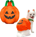 Pumpkin plush Halloween costume on small dog with pullover design and bright orange colour