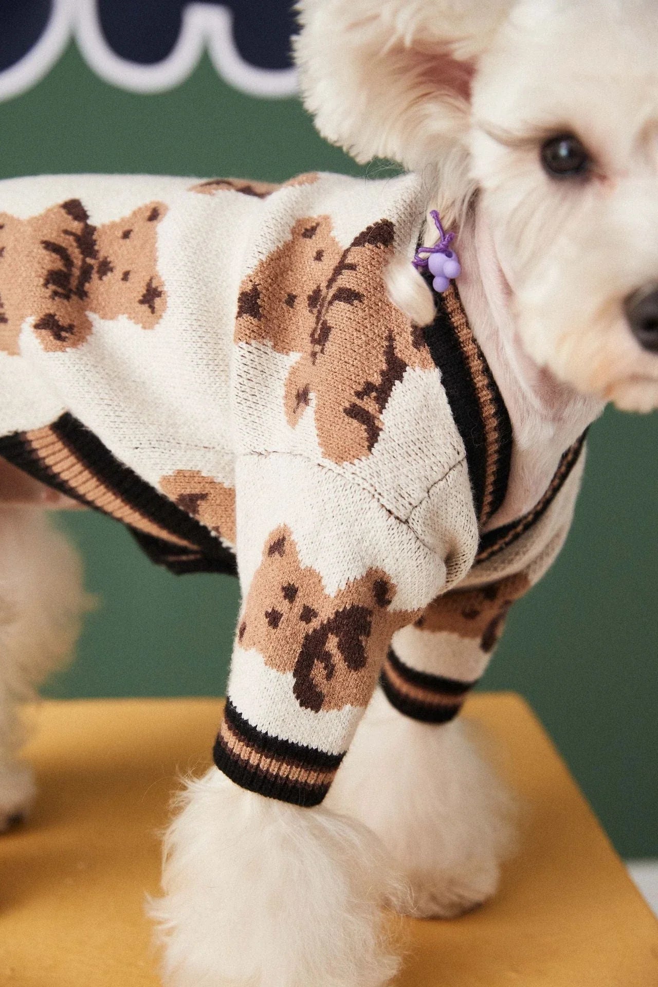 A stylish striped pet sweater made of premium New Zealand wool for cosy winter comfort