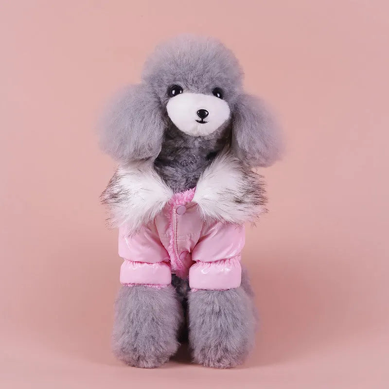 Blue cotton dog coat with British style design for autumn and winter wear