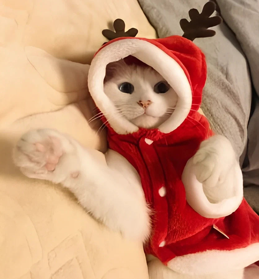 Red flannel Santa Christmas costume for small dogs, XS size with 28 cm chest and 20 cm back measurements