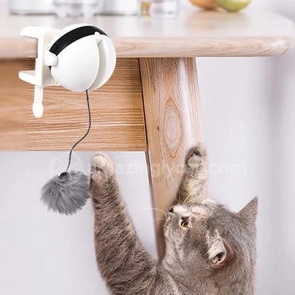 Electronic motion cat toy with real fur ball for interactive play
