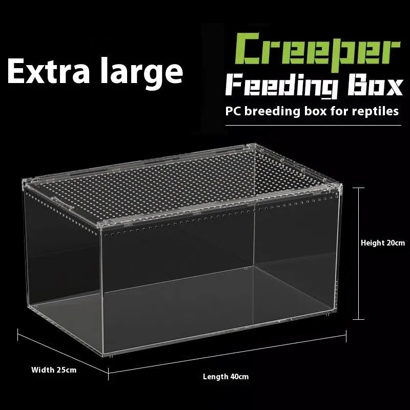 Transparent acrylic reptile feeding box showing dimensions and clear construction for crawler pets