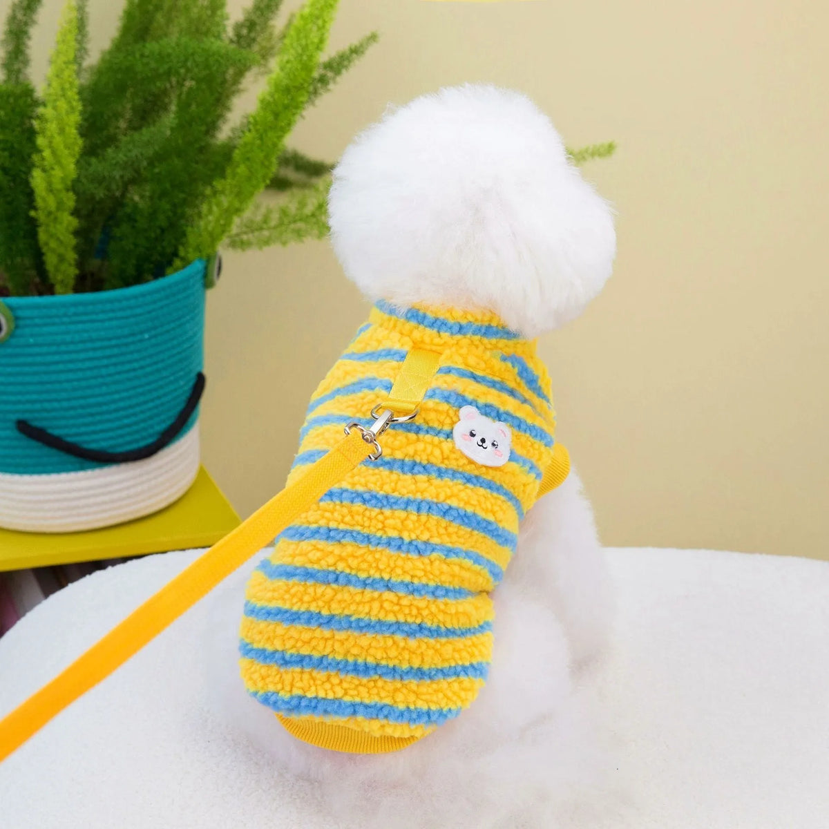 Thickened striped bear pet top in polar fluff, green colour, showing front view on a small dog