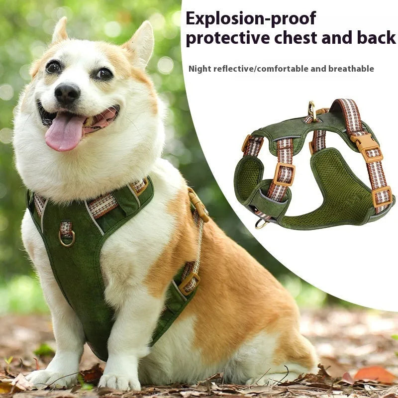 Leather pet harness with reflective elements in chest harness design