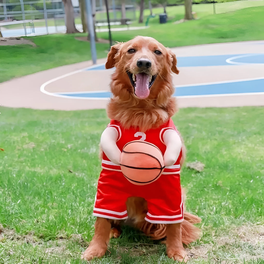 Red or yellow dog basketball costume with toy ball accessory for small medium large dogs