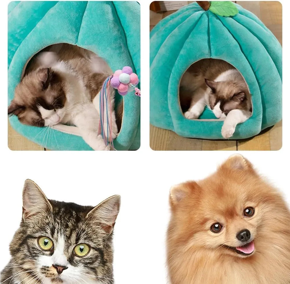 A grey pumpkin-shaped semi-enclosed cat bed with a plush interior, shown on a wooden floor.