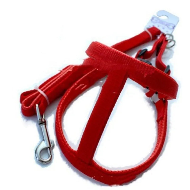 Soft foam-lined pet harness with nylon belt in black, blue and red colour options showing adjustable sizing