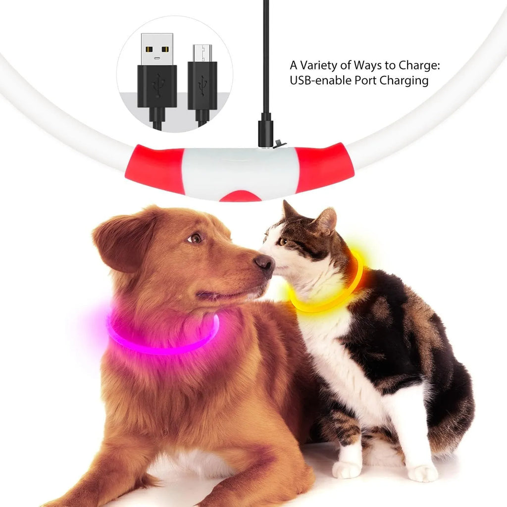 USB rechargeable LED light-up dog collar in blue, showing the light unit and adjustable TPU strap.
