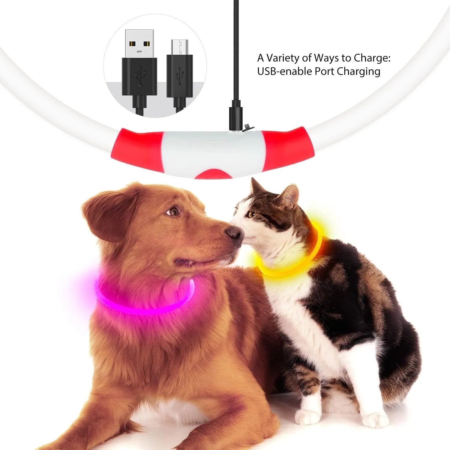 USB rechargeable LED light-up dog collar in blue, showing the light unit and adjustable TPU strap.