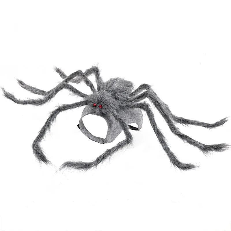 Grey and black spider Halloween costume for a small dog on a carpet.