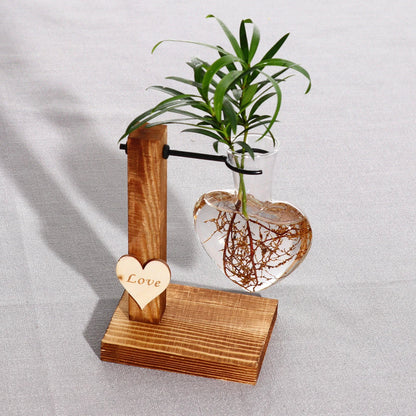 Stylish hydroponic glass vase with wooden stand, perfect for indoor plant displays and unique home decor