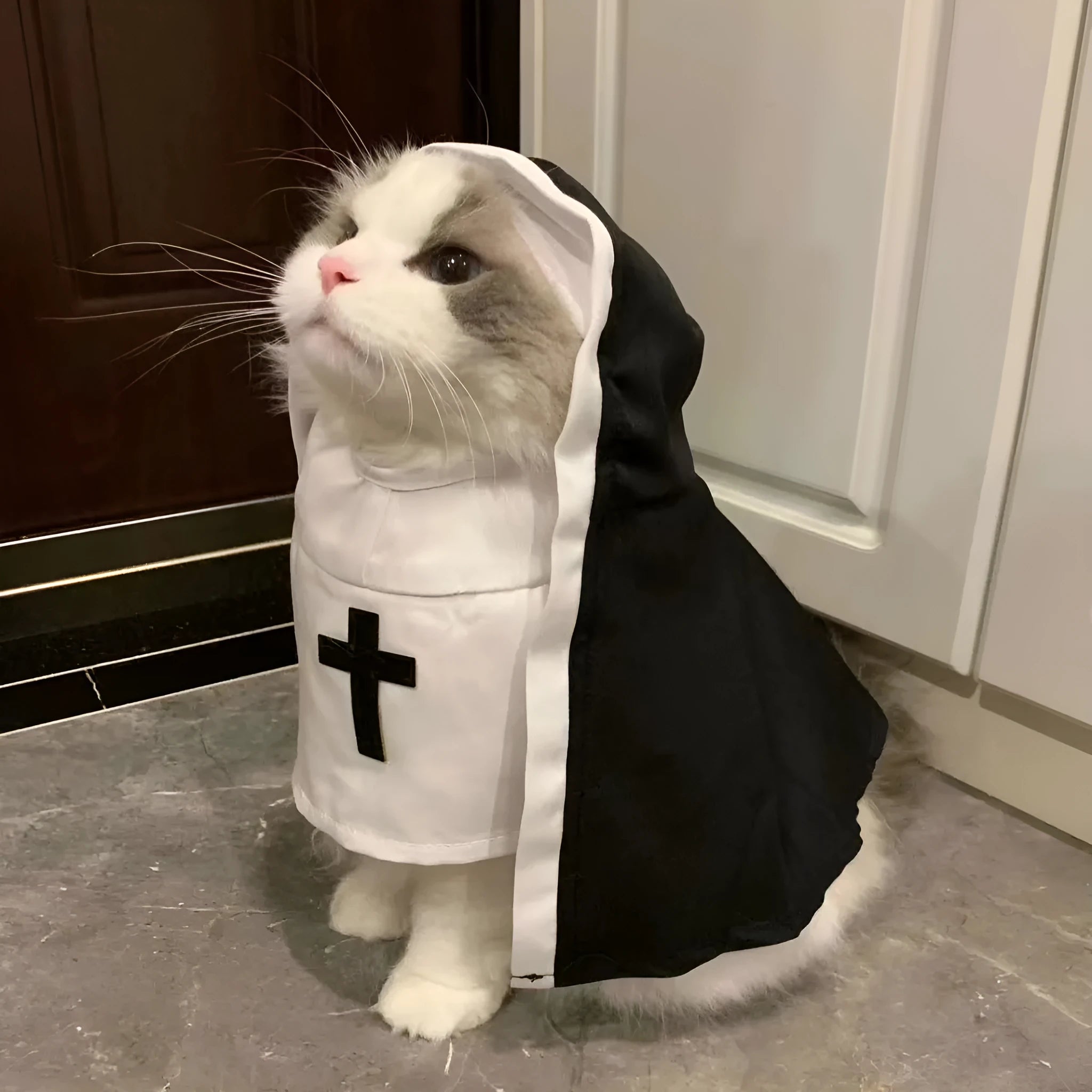 Black and white nun costume for small medium dog with polyester cloak and pullover design