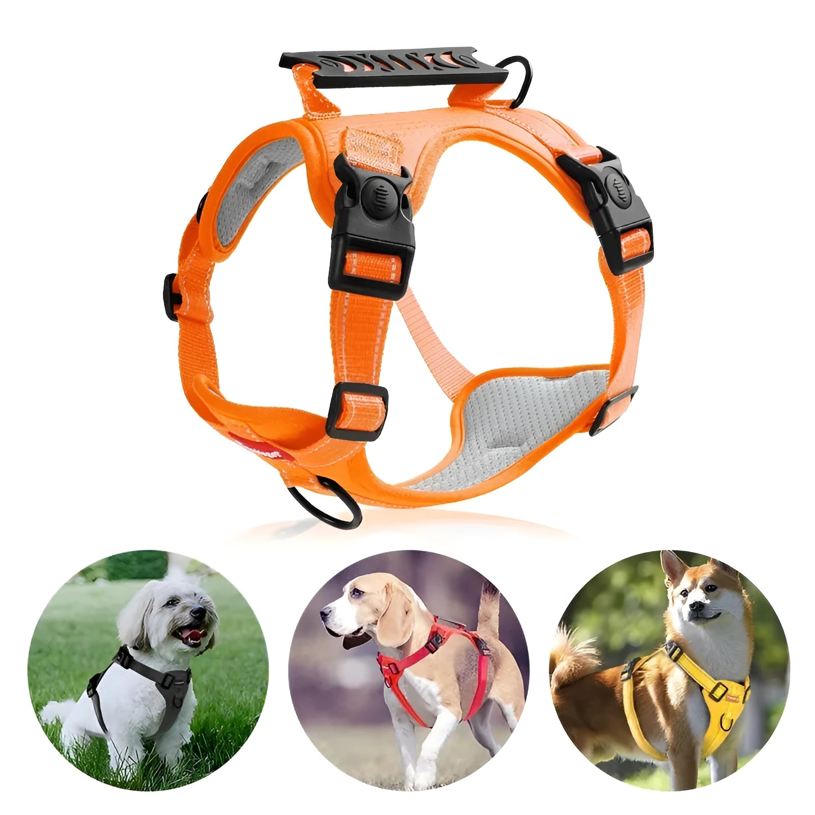 Polyester dog chest harness and lead in multiple colours and sizes for secure pet walking.