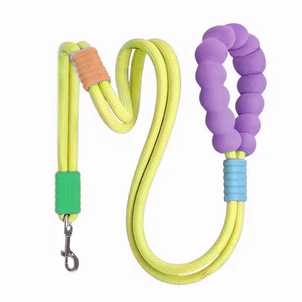 Nylon dog leash with foam handle in four colour options: black, light purple, sky blue, yellow.