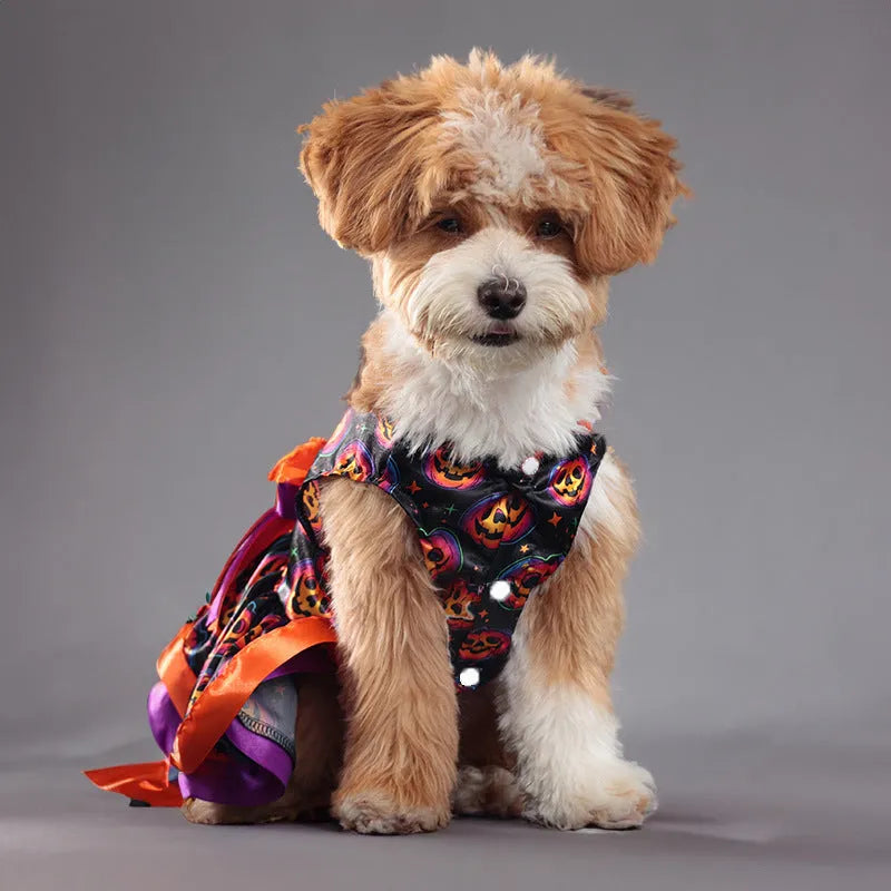 Halloween dog skirt in colourful pumpkin print, size medium, on a mannequin.