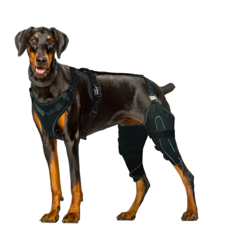 Black adjustable dog thigh protective sleeve with metal support for postoperative care.