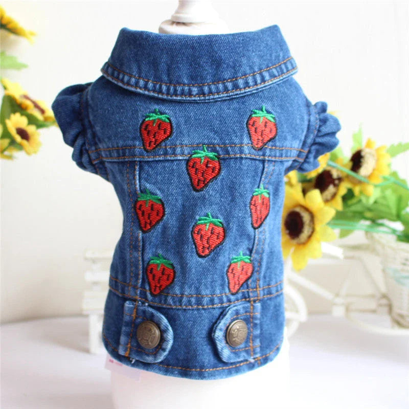 Stylish denim dog jacket with various designs like hoods, fringes, and patterns for trendy pet fashion