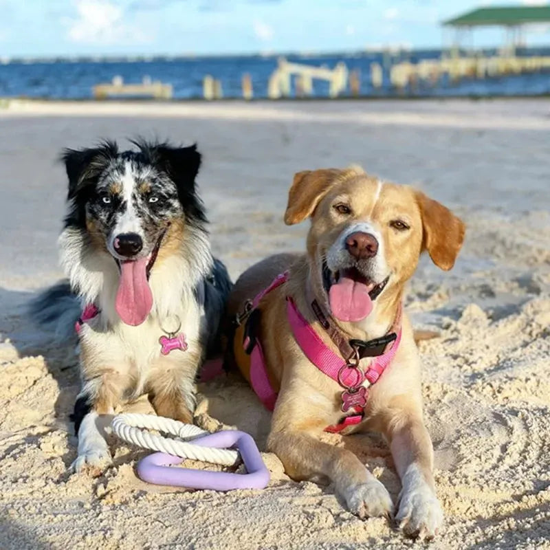 Large triangular braided cotton rope dog pull ring toy in beige, pink, or purple.