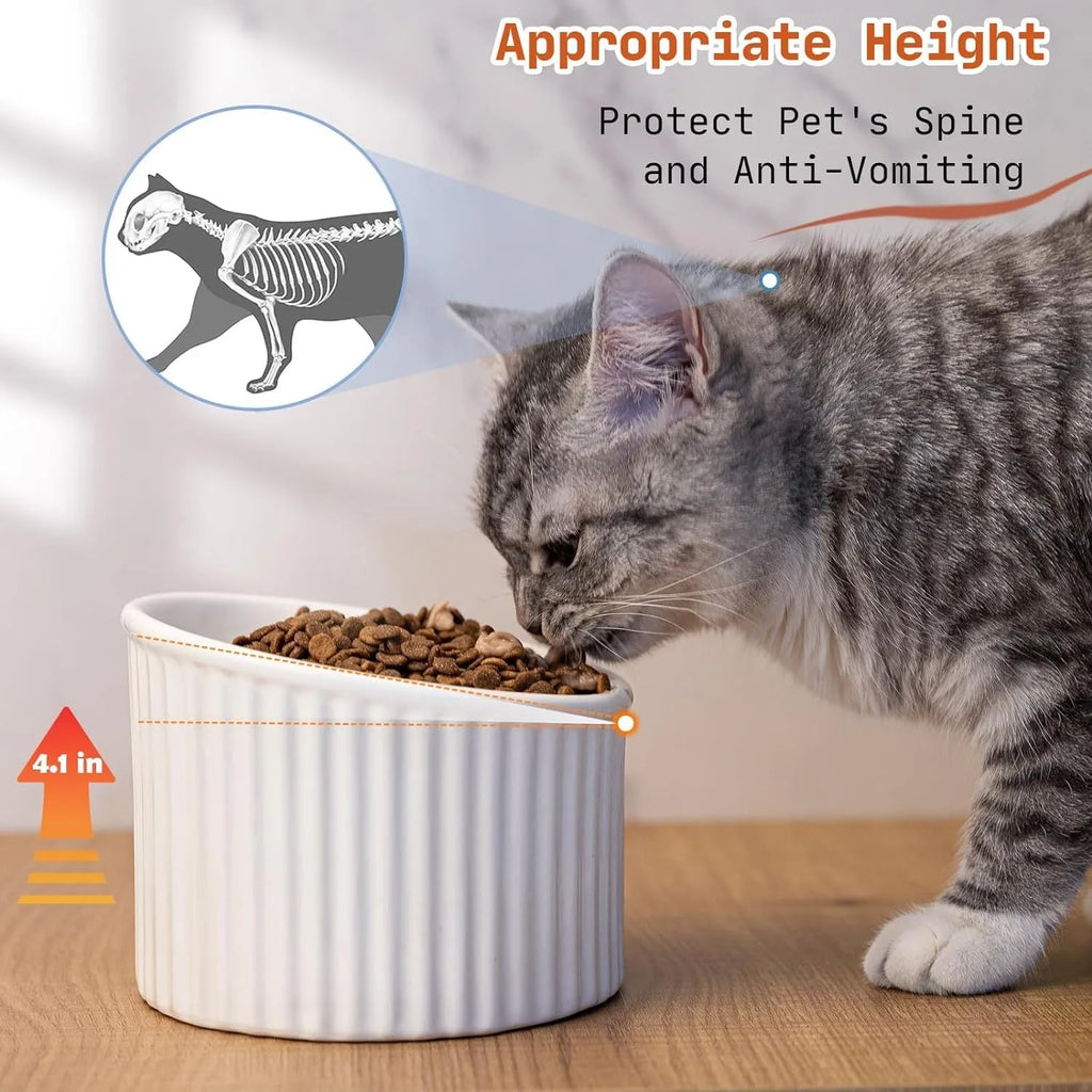 Elevated ceramic cat bowl in dark green, showing its tilted design and round, whisker-friendly shape.
