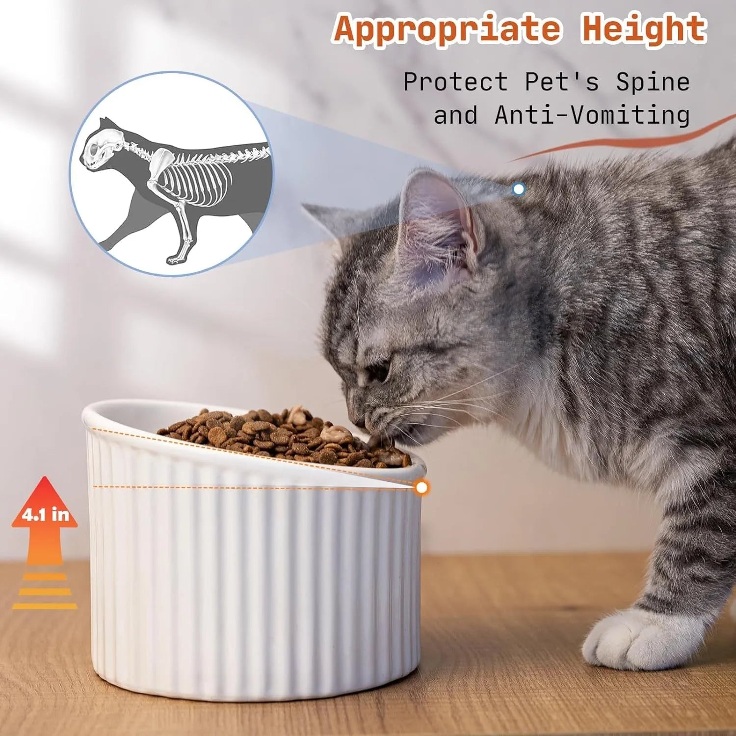Elevated ceramic cat bowl in dark green, showing its tilted design and round, whisker-friendly shape.