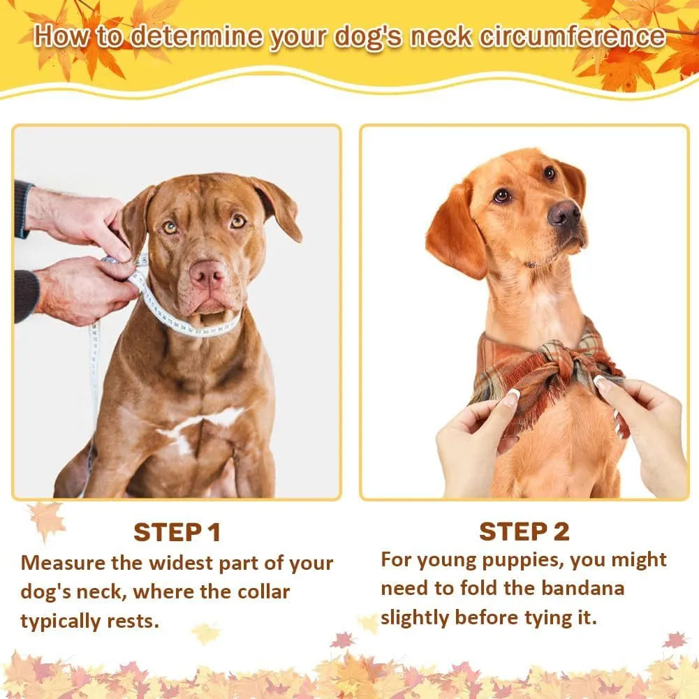 Classic plaid dog bandana with tassel edges in autumn colours on canine