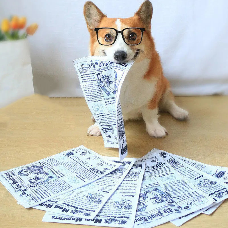 Tearproof pet dog toy with simulated squeaking newspaper playing cards for interactive play