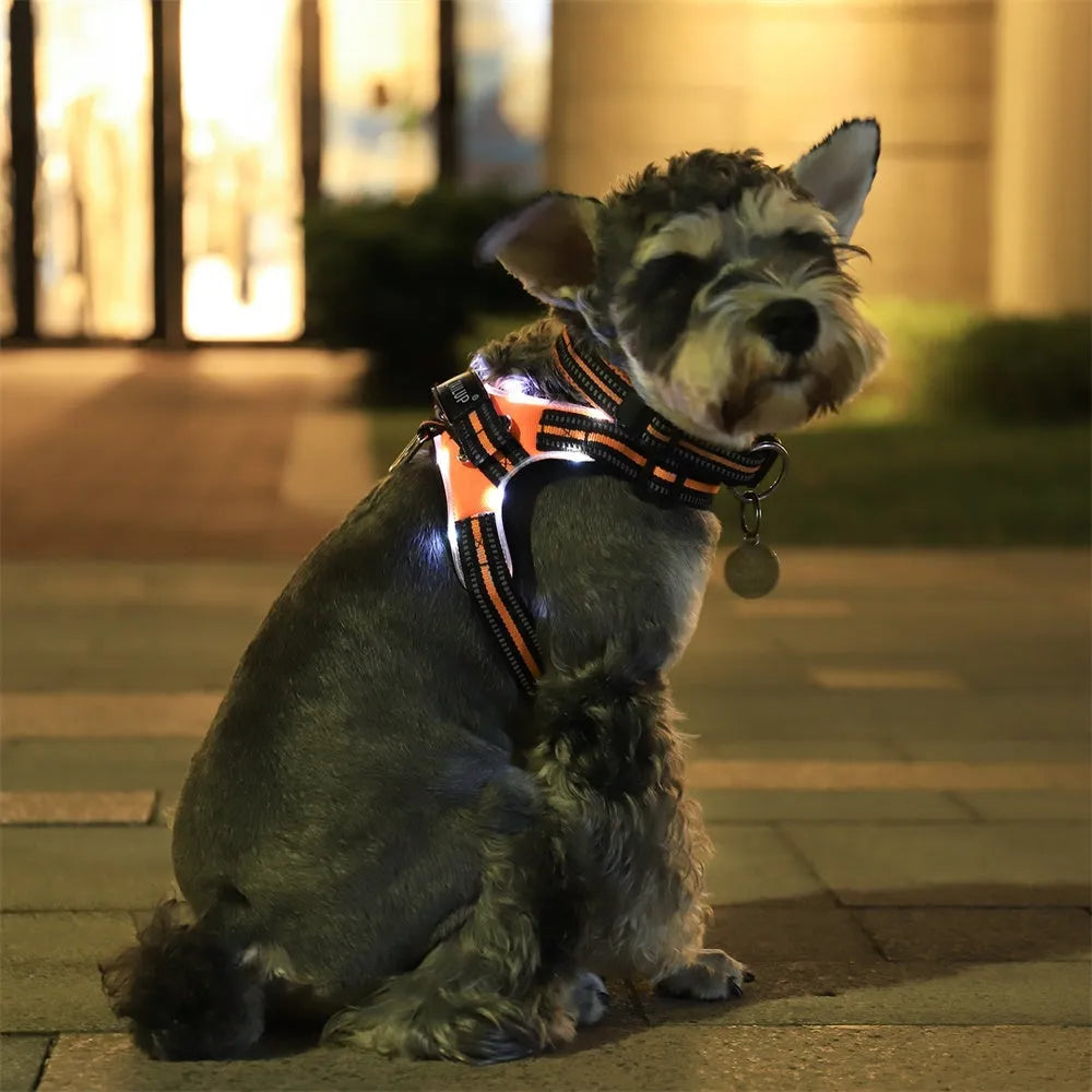 Glowing dog collar with LED lights and reflective strips in 1000D Oxford material