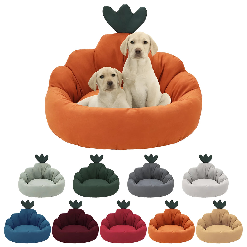 Carrot kennel dog bed for small and medium dogs in blue plush fabric with raised rim