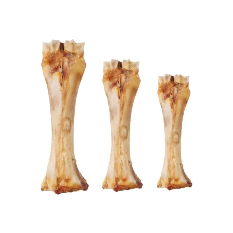 High calcium roasted ox bone flavoured molar chew stick for puppy teeth cleaning and training.