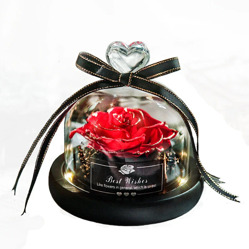 NZ Timeless Floral Enchantment: Eternal LED Rose Home Decor