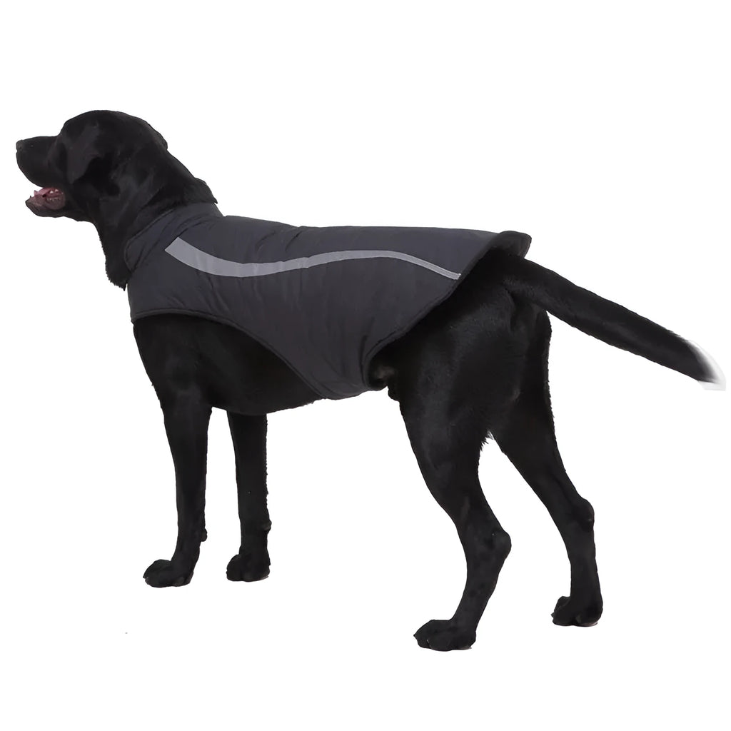 Cotton dog winter coat in casual style available in sizes S to XXL and colours black, blue, purple