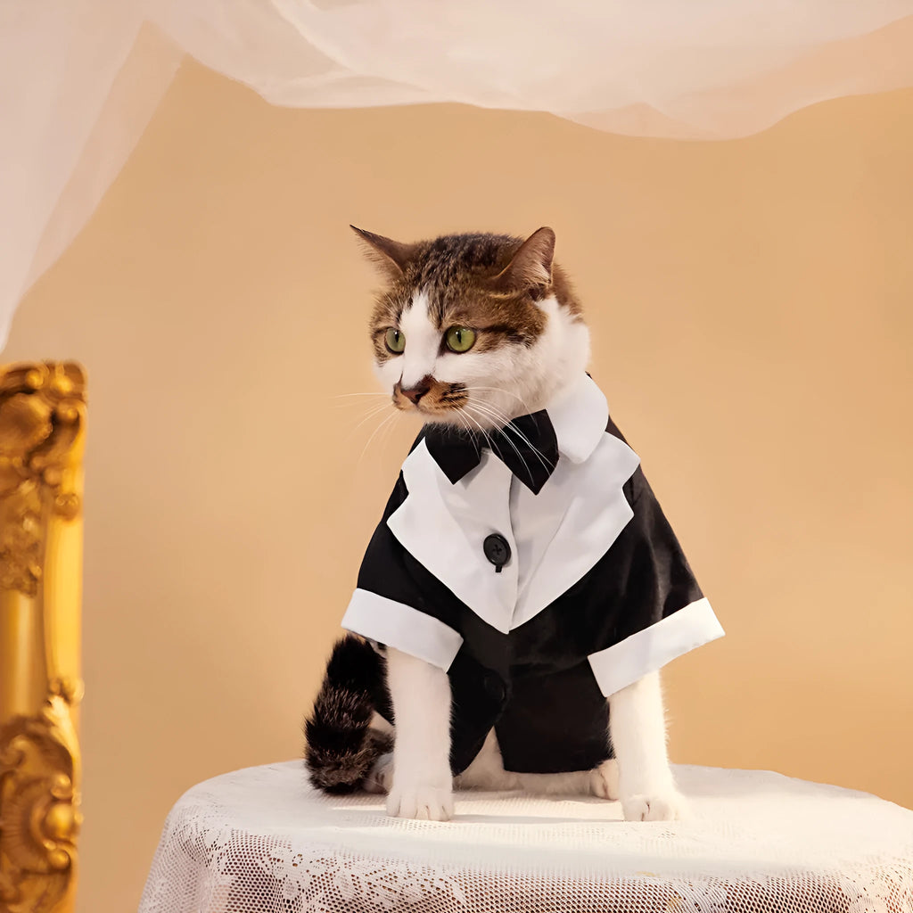 Chinese-style black polyester dog wedding suit with four-legged design for formal occasions
