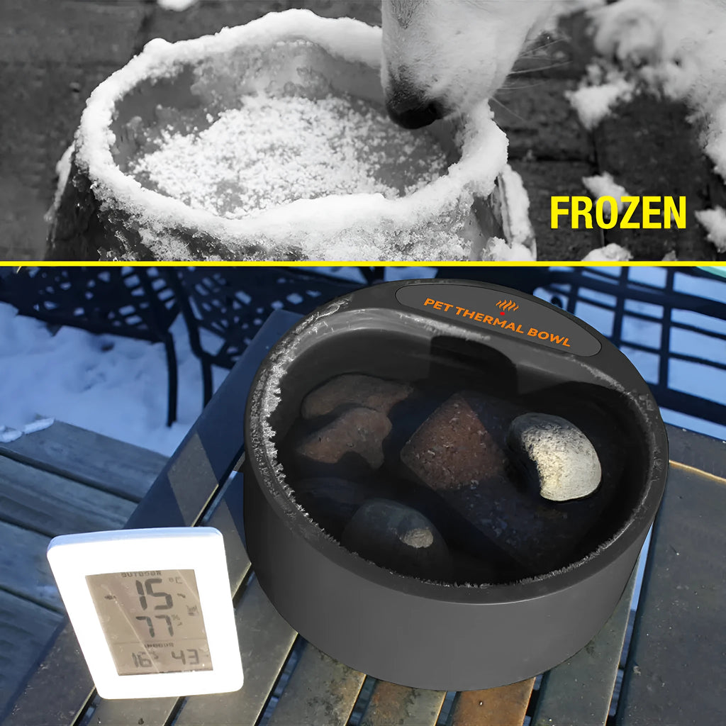Black ABS plastic pet heating bowl for cats and dogs with constant temperature function
