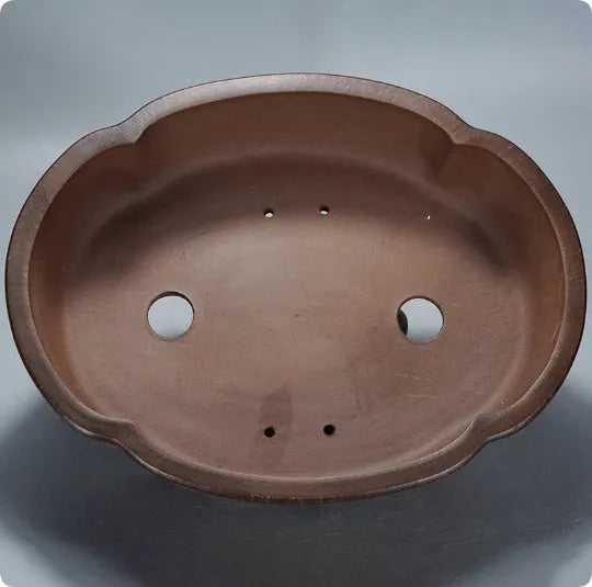 Classical purple clay bonsai pot with green plant old pile design, 50x39x16cm dimensions