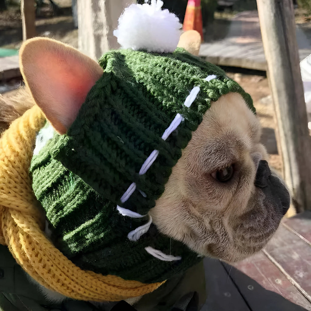 Woolen hat for female dogs in grey red green solid pattern 100% cotton one size winter cap