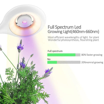 Intelligent Plant Growth Box with Table Lamp in pink, perfect for indoor gardening